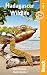 Madagascar Wildlife: A Visitor's Guide (Bradt Travel Guides (Wildlife Guides))