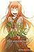 Spice and Wolf, Vol. 16: The Coin of the Sun II (light novel)