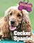 Cocker Spaniel