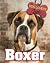 Boxer