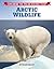 Arctic Wildlife (Exploring the Polar Regions Today)
