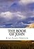 The Book of John KJV