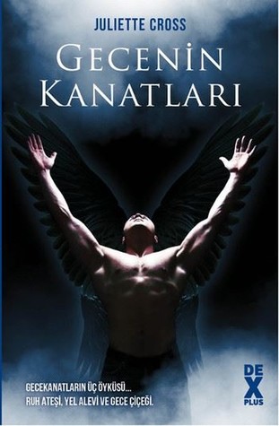 Gecenin Kanatları (Nightwing, #1-3)