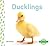 Ducklings (Baby Animals Set 1)