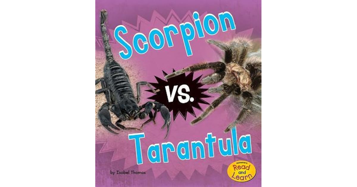 Scorpion vs. Tarantula by Isabel Thomas