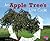 An Apple Tree's Life Cycle (Explore Life Cycles)
