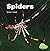 Spiders (Little Critters)