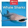 Whale Sharks (Zoom in on Sharks) Whale Sharks (Zoom in on Sharks)