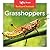 Grasshoppers
