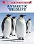 Antarctic Wildlife (Exploring the Polar Regions Today)