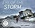Eye of the Storm: NASA, Dro...