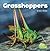 Grasshoppers