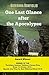 One Last Glance after the Apocalypse by Giovanna Bonfiglio