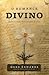 O Romance Divino by Gene Edwards
