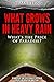 What Grows in Heavy Rain