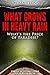 What Grows in Heavy Rain