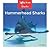 Hammerhead Sharks (Zoom in on Sharks)