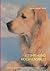 Ist Ihr Hund hochsensibel?: Erkennen, verstehen und leben mit hochsensiblen Hunden (German Edition)