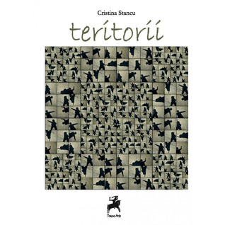 Teritorii (Paperback)