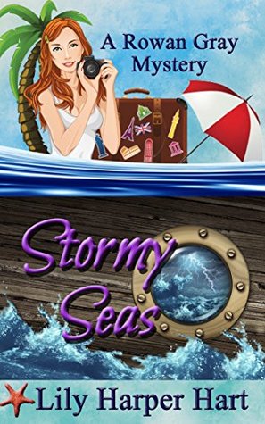 Stormy Seas (Rowan Gray, #3)