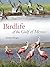 Birdlife of the Gulf of Mexico (Harte Research Institute for Gulf of Mexico Studies Series, Sponsored by the Harte Research Institute for Gulf of Mexico Studies, Texas A&M University-Corpus Christi)