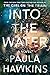Book cover for Into the Water