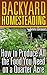 Backyard Homesteading: How to Produce All the Food You Need on a Quarter Acre