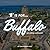 B Is for Buffalo: An Aerial Alphabet