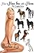 How to Have Sex with a Horse by Barbie Lez
