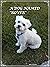 A Dog Named "Rover"