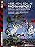 Photophantastes (Robotica.it) (Italian Edition)