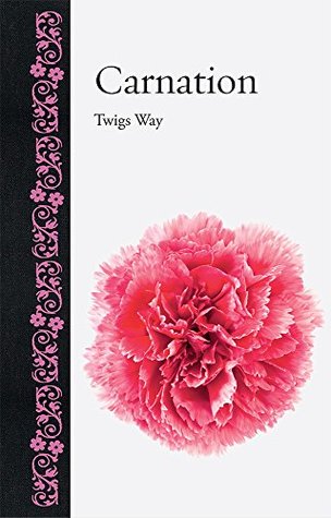 Carnation (Botanical)