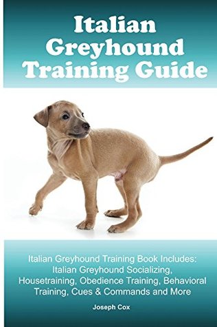greyhound obedience training