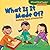 What Is It Made Of?: Noticing Types of Materials (Cloverleaf Books ™—Nature's Patterns)