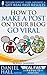 How to Make a Post on Your Blog Go Viral (Real Fast Results Book 15)