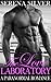 The Love Laboratory: A Paranormal Romance