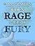 When Rage Meets Fury (Cornwall & Company Mystery Book 4)