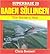 Baden Sollingen: The Hornet's Nest (Osprey Superbase #20)