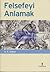 Felsefeyi Anlamak
