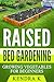 Raised Bed Gardening by Kendra K