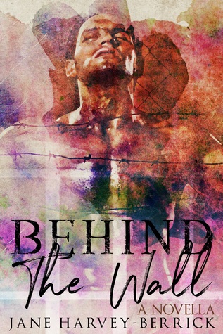 Behind the Wall (ebook)