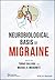 Neurobiological Basis of Migraine (New York Academy of Sciences)