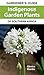 Gardener’s Guide Indigenous Garden Plants of Southern Africa
