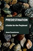 Predestination: A Guide for the Perplexed