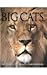 Big Cats