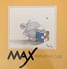 Max Versus the Cube by Hanne Turk