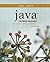 Java Software Solutions