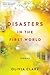 Disasters in the First World: Stories