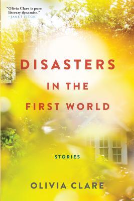Disasters in the First World: Stories (Paperback)
