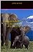 They Called Him the Elephant Whisperer by James Bankes